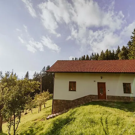 Planska Koca Tatil Evi Vitanje