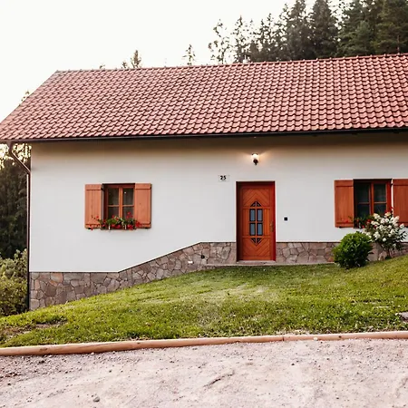 Planska Koca Holiday home Vitanje