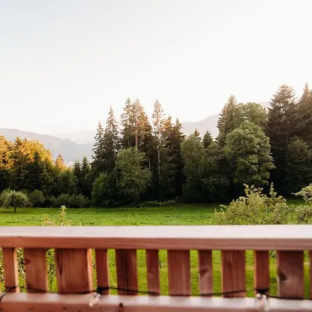 Holiday home Planska Koca Vitanje