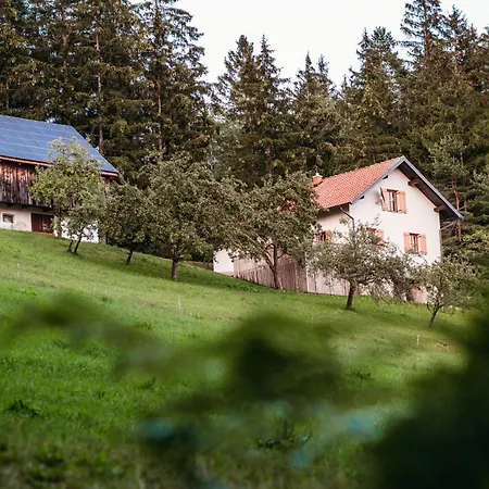 Planska Koca * Vitanje