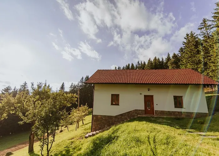 Planska Koca Casa vacanze Vitanje