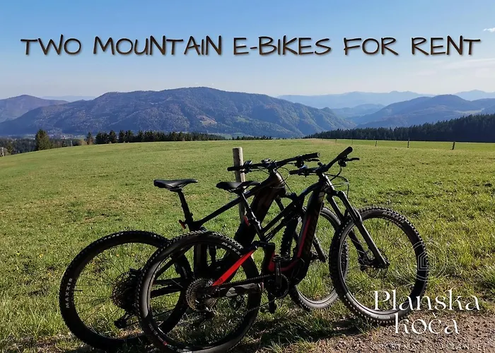 Casa vacanze Planska Koca *