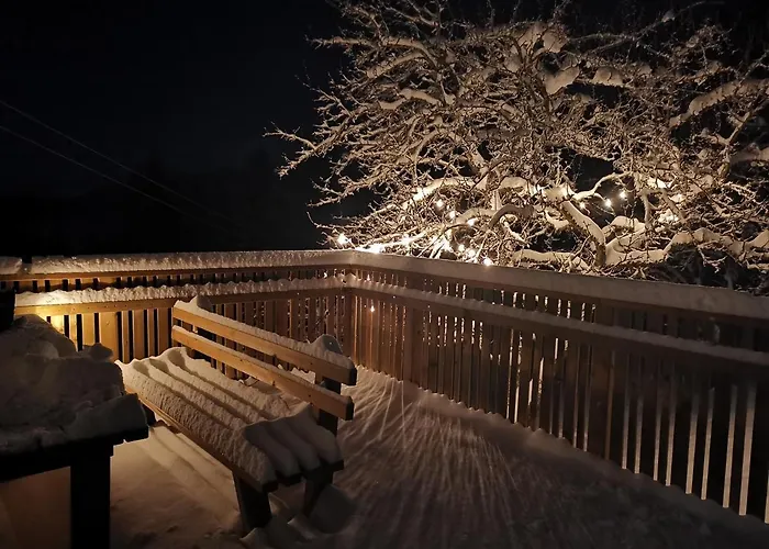 Planska Koca * Vitanje